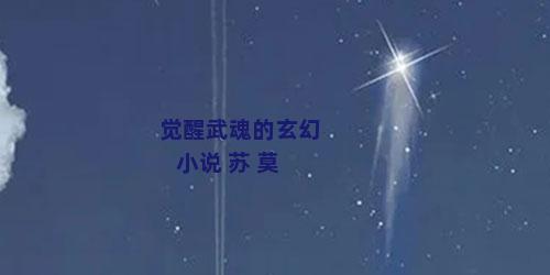 觉醒武魂的玄幻小说 苏 莫